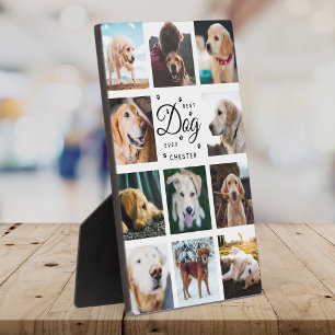 Beste Hond Ooit Herdenking Modern Fotocollage Poot Fotoplaat