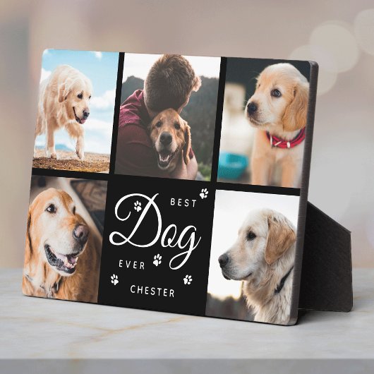 Beste Hond Ooit Herdenking Paws Moderne Fotocollag Fotoplaat