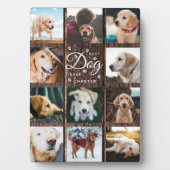 Beste Hond Ooit Herdenkings Rustieke Foto Collage Fotoplaat (voorkant)