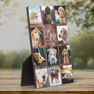 Beste Hond Ooit Herdenkings Rustieke Foto Collage  Fotoplaat