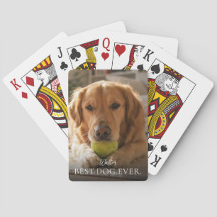 Beste Hond Ooit Huisdieren Naam En Foto Pokerkaarten