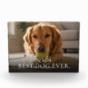 Beste Hond Ooit Jouw Huisdier Foto Blok