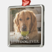 Beste Hond Ooit Jouw Huisdieren Naam En Foto Metalen Ornament (Links)