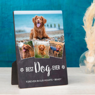 Beste Hond Ooit Moderne Fotocollage Huisdierherden Fotoplaat