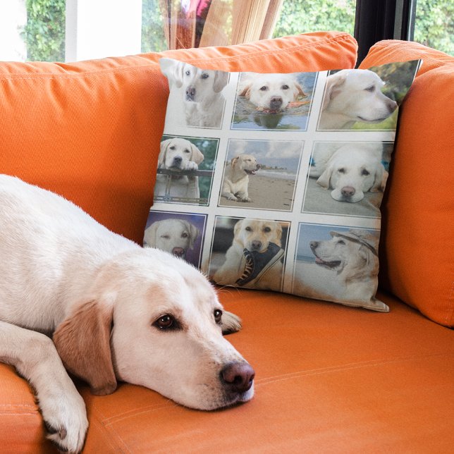 Beste Hond Ooit Moderne Fotocollage Kussen (Creator heeft geüpload)