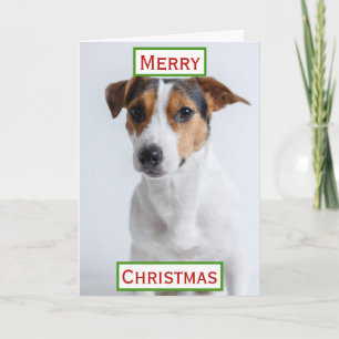 Beste hond papa ooit kersthuisdier foto kaart