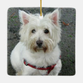 BESTE HOND TER WERELD Zwart Wit Tan Schots geruit Keramisch Ornament (Achterkant)