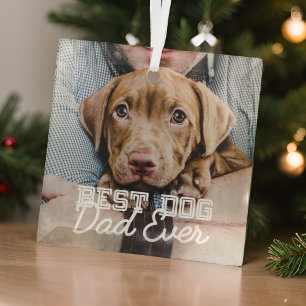 Beste hond vader ooit Modern Aangepast Pet Foto Glas Ornament