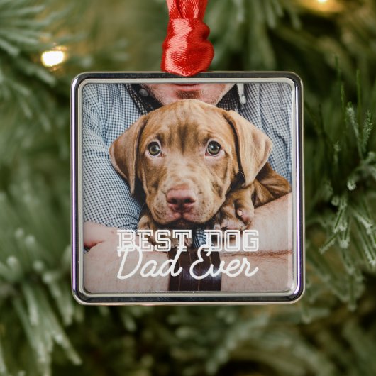 Beste hond vader ooit Modern Aangepast Pet Foto Metalen Ornament (Boom)