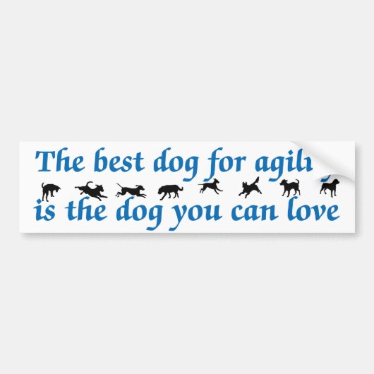 Beste hond voor flexibiliteit bumpersticker (Voorkant)