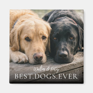 Beste honden ooit De naam en foto van uw huisdier Magneet