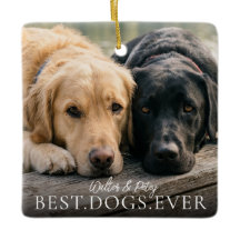 Beste Honden Ooit Jouw Huisdier Naam En Foto Magne