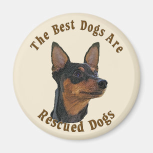 Beste honden worden gered - miniatuur Pinscher Magneet