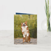 Beste Hondenmoeder ooit eerste bult Moederdag-kaar (Achterkant)