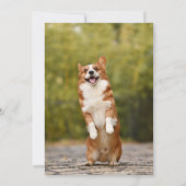 Beste Hondenmoeder ooit eerste bult Moederdag-kaar Kaart (Achterkant)