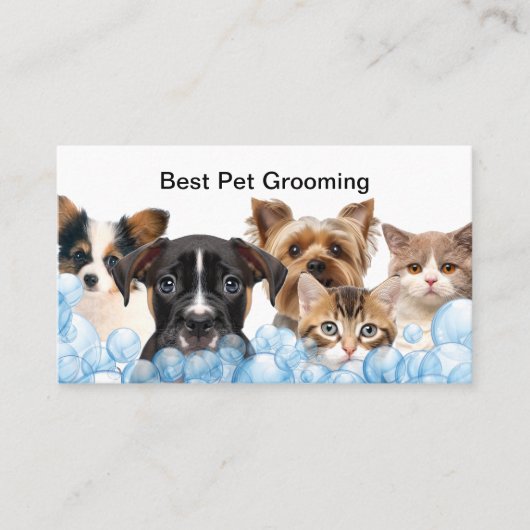 Beste huisdier Grooming Afspraak Kaarten Ontwerp Afsprakenkaartje (Voorkant)