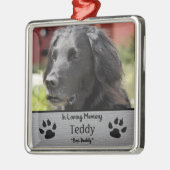 Beste huisdier vriend metalen ornament (Links)