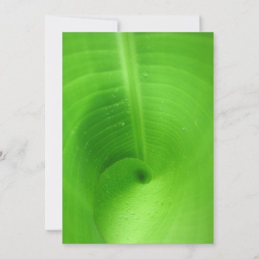 Beste kaart 5 x 7 inch (Voorkant)