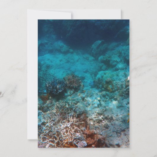 Beste kaart 5 x 7 inch (Voorkant)