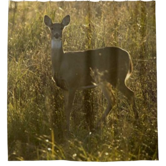 BESTE KAMP 2 DOUCHEGORDIJN (Voorkant)