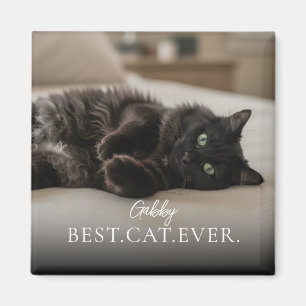 Beste Kat Aller Tijd De Naam En Foto Van Je Huisdi Magneet