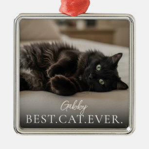 Beste Kat Aller Tijden De naam van je huisdier en  Metalen Ornament