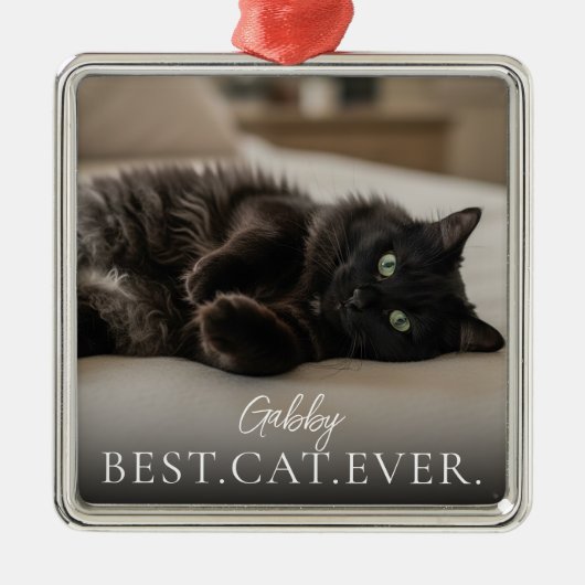 Beste Kat Aller Tijden De naam van je huisdier en  Metalen Ornament (Voorkant)