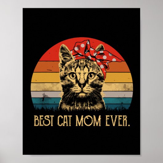  beste kat mam ooit leuk Moederdag kat mam Poster (Voorkant)