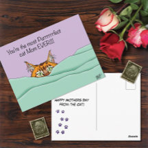 Beste kat mama ooit!