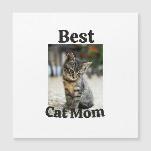 Beste kat mama papa ouder huisdier foto kitten oma
