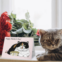 Beste Kat Moeder Verwende Calico Moederdag Roze