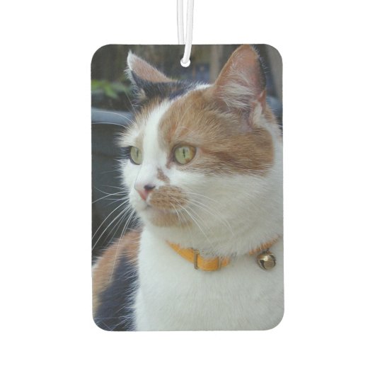 Beste kat moeder voeg foto roze toe luchtverfrisser (Achterkant)