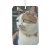 Beste kat moeder voeg foto zwart toe luchtverfrisser (Achterkant)