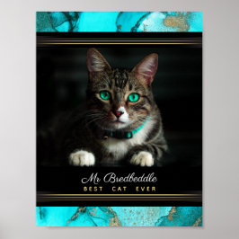 Beste kat ooit foto sjabloon Teal abstract Poster