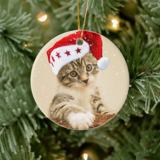 BESTE KAT OOIT KERAMISCH ORNAMENT (Boom)