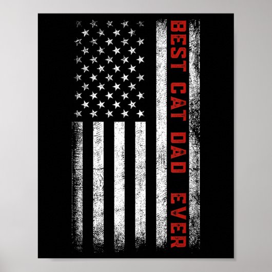 Beste kat vader ooit Amerikaanse vlag Vader vader  Poster (Voorkant)