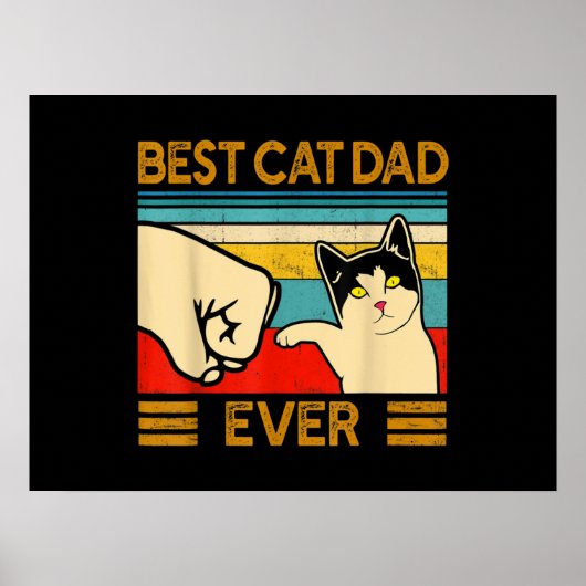 Beste kat vader ooit grappige kat papa poster (Voorkant)