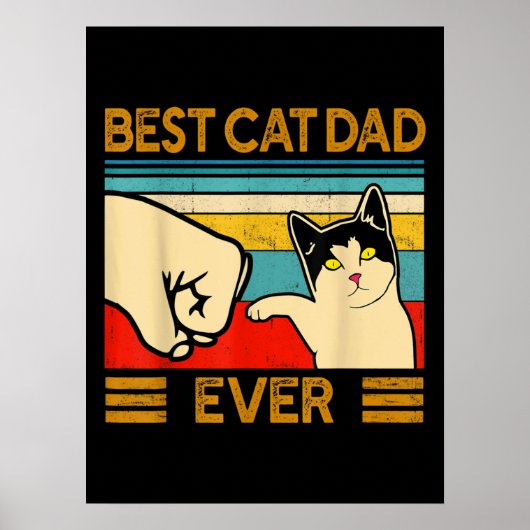 Beste kat vader ooit grappige kat papa poster (Voorkant)