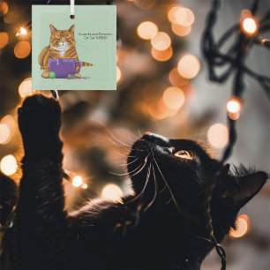 Beste kat vader Vaderdag Glas Ornament