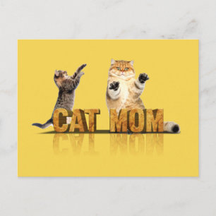 Beste kattemoeder ooit   cadeau voor kattenmam briefkaart