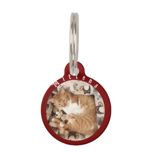 Beste kattenfamilie ooit, kattenfoto, huisdierpenning