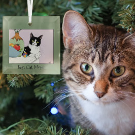 Beste Kattenmoeder Cute Tuxedo Kat Moederdag Glas Ornament