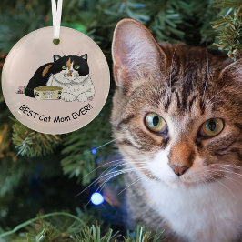 Beste kattenmoeder Verwende calico Moederdag Roze Glas Ornament