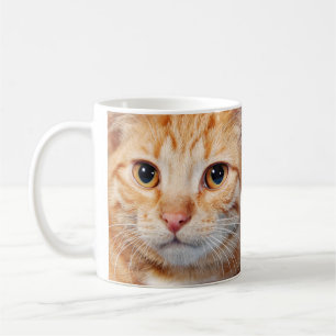 Beste kattenvader foto  koffiemok
