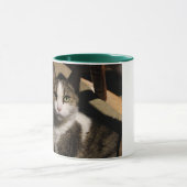"Beste kattenvader ooit--Elegante poppen Vaderdag Mok (Midden)