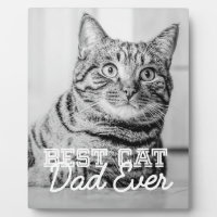 Beste kattenvader ooit moderne aangepaste huisdier