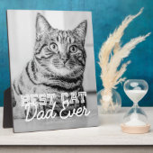 Beste kattenvader ooit moderne aangepaste huisdier fotoplaat (Zijkant)