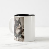 Beste kattenvader ooit tweekleurige koffiemok (Voorkant links)