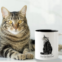 Beste kattenvader ooit Zilver Tabby Vaderdag