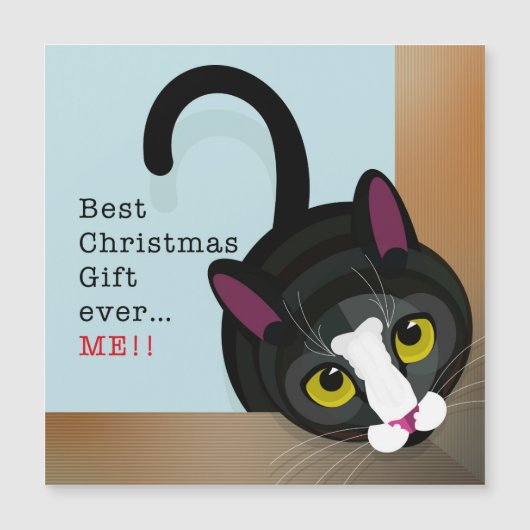 Beste kerstcadeau ooit... Ik. (Voorkant)